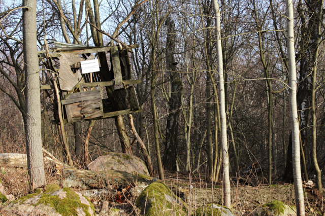 Pic: tree house