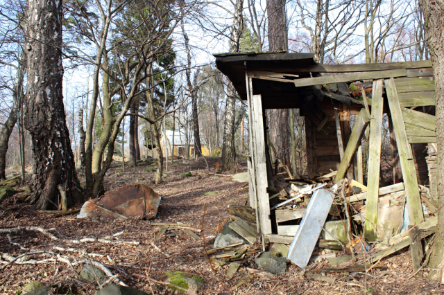 Pic: ramshackle outbuilding