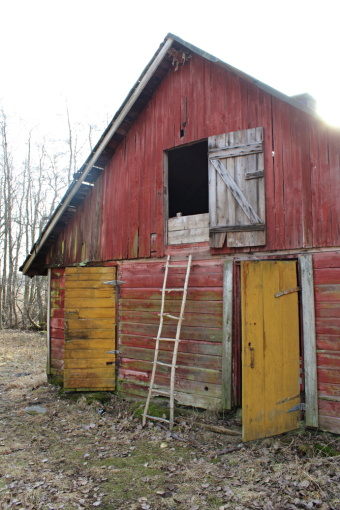 Pic: ladder to the attic